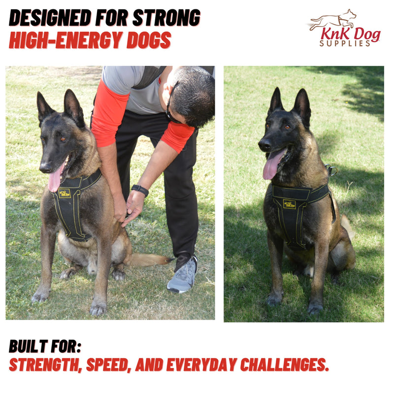 KNK Heavy Duty Dog Harness for Pitbull and Bullies – Tactical Dog Harness for Large Dogs and XL Breeds – Ultra-Durable Chest Support for Training, Walking and Strong Breeds - PawsPlanet Australia