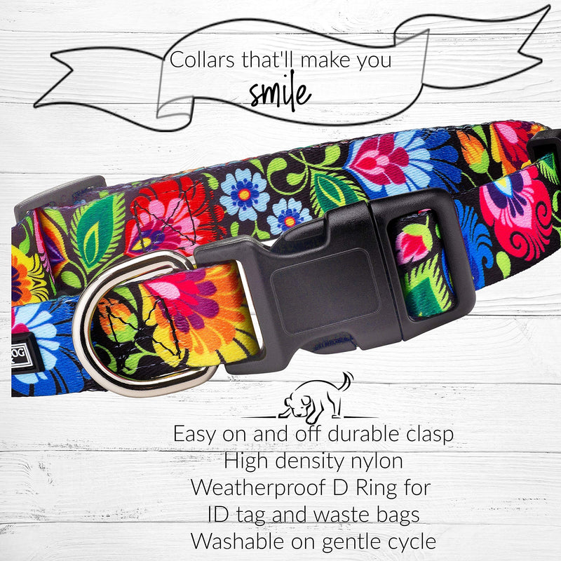 Lucky Love Dog Leash Collar Combo Set, Vivid Floral Girl or Boy Dog Leash Small to Medium Dogs, Blackbird, Small - PawsPlanet Australia