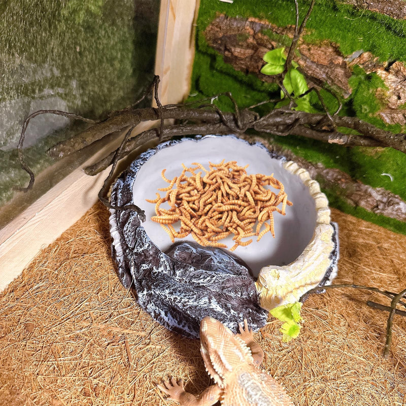 Tfwadmx Hermit Crab Water Bowl, Small Reptile Feeding Dish, Tortoise Water Dish, Hermit Crab Food Dish, Reptile Food Bowl for Geckos Corn Snakes Turtles Small Bowl-1Pcs - PawsPlanet Australia