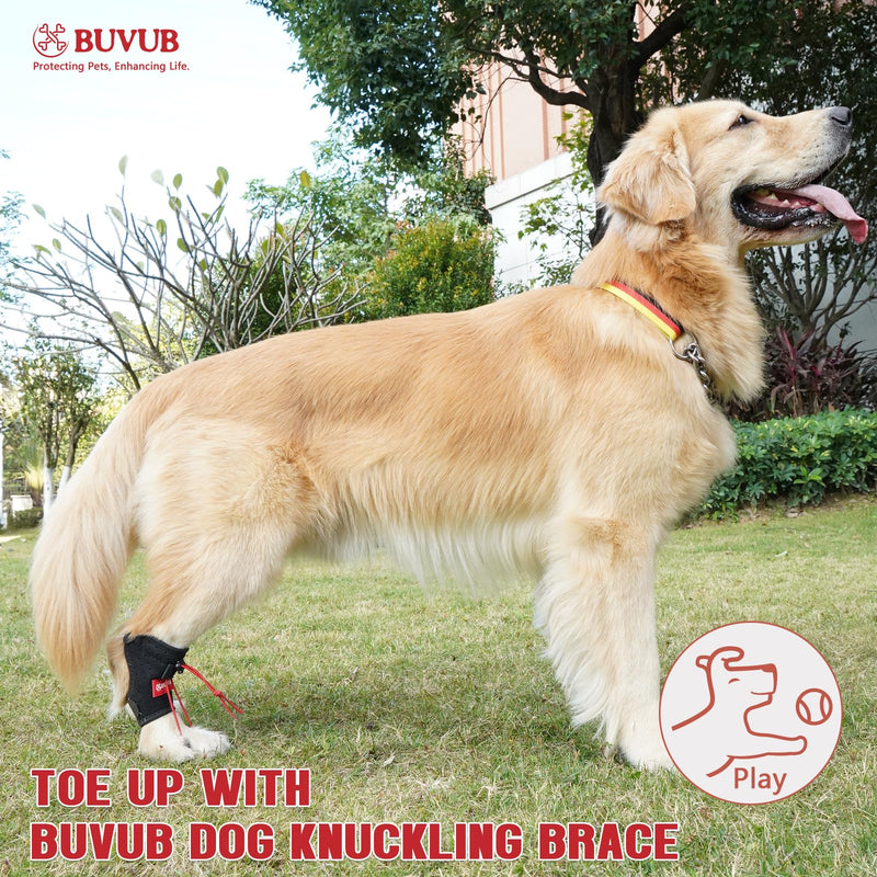 Dog Canine Knuckling Brace Rear Leg Dog Foot Brace Wrap for Toe Dragging Cause by Sciatic Nerve Insufficiency, Myelopathy, Herniated Disc (Medium) Medium 1