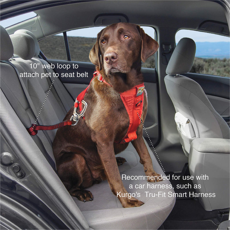 Kurgo Swivel Seatbelt Tether for Dogs, Car Seat Belt for Pets, Adjustable Dog Safety Belt Leash, Quick & Easy Installation, Works with Any Pet Harness, Swivel Tether Carabiner Clip (Red) Red - PawsPlanet Australia