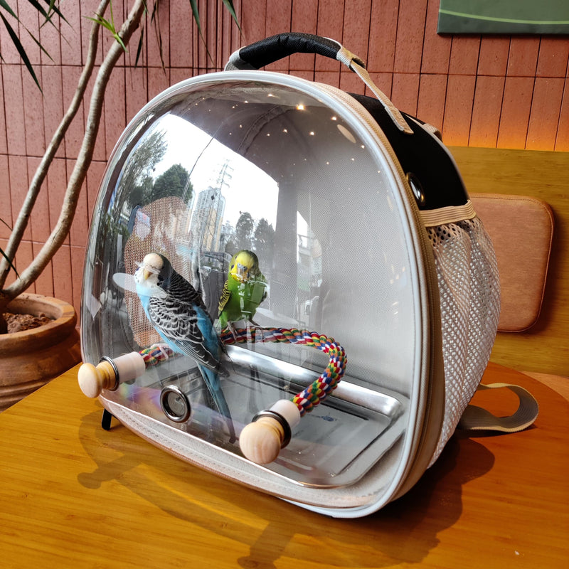Small Bird Travel Backpack Carrier Cage, Backpack to Transport Backpack Carrier with Metal Tray Stand Perch for Parakeet Cockatiel Budgies Vet Carry Book Bag Black Clear Bubble - PawsPlanet Australia