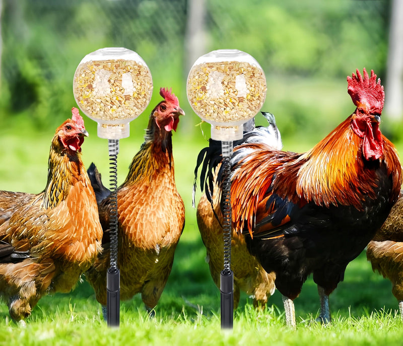 2Pcs Chicken Peck Toys, Chicken Enrichment Toys with Swing Feeder, Interactive Slow Feed Release Toy for Your Flock, Chick Treat Dispensers for Hens Poultry Duck Birds Parrots - PawsPlanet Australia