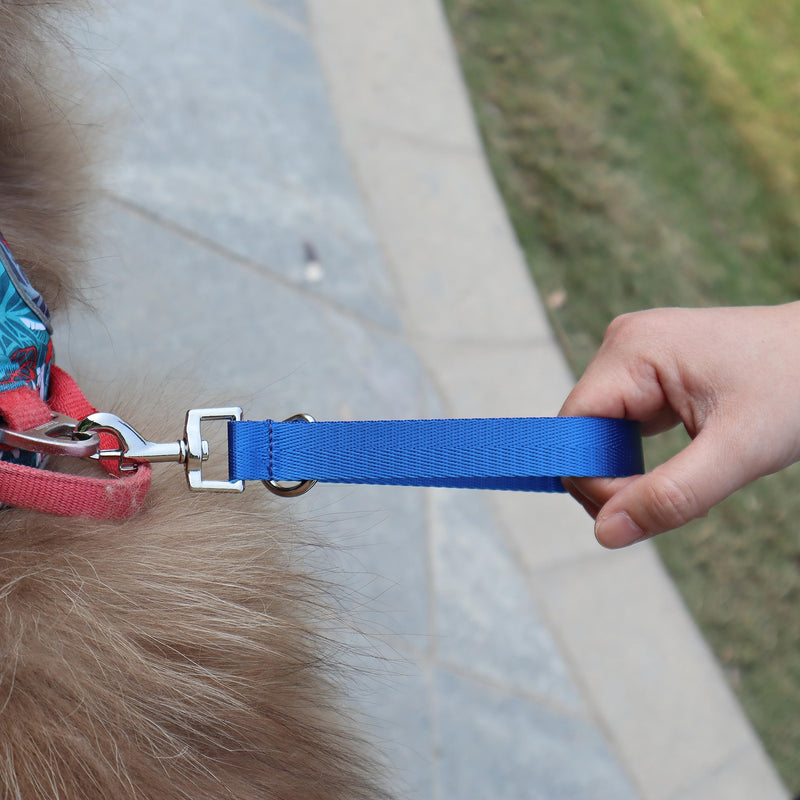 Traffic Dog Leash Dogs Training Leash Pet Traffic Grab Handle Training Tab Pets Leash Short Dog Leashes Dogs Training Lead Leashes (Green & Blue) green & blue - PawsPlanet Australia