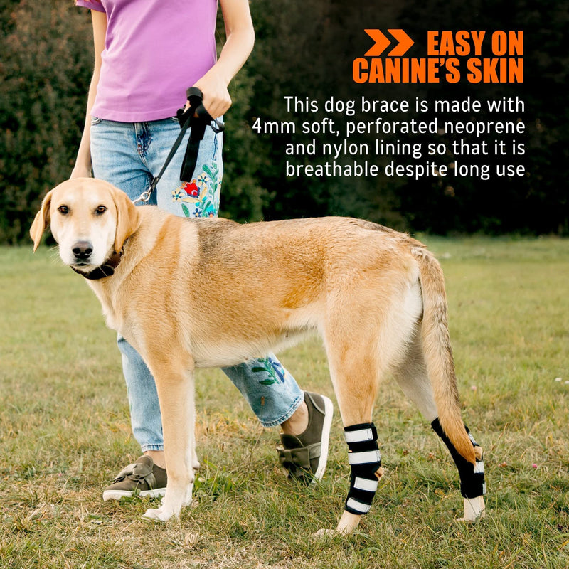 NeoAlly - Rear Leg Hock Brace with Metal Spring Strips, Dog Leg Brace for Rear Leg, Hock & Ankle Support, Rear Dog Leg Brace for Large Dogs, Long. (Both Legs, Small) Both Legs