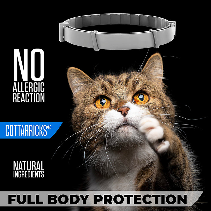 Flea and Tick Prevention for Cats - Collar - 2 Count - Adjustable - PawsPlanet Australia