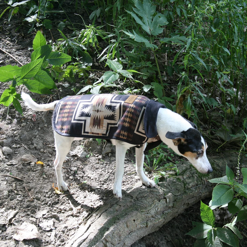 Pendleton Pet Classics Dog Coat (XS, Harding) - PawsPlanet Australia