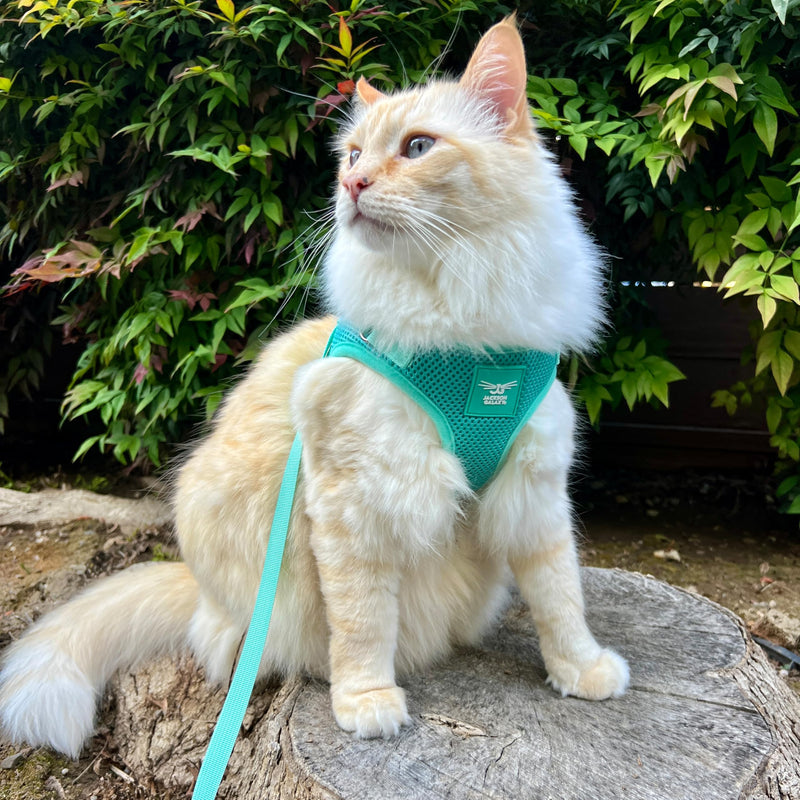 Travel Cat x Jackson Galaxy Harness and Leash Set - Adjustable Fit Mesh Cat Harness with Nylon Leash - Comfort, Escape Proof Harness for Cats, Kitten for Outdoor Walking, Hiking (Kittens Only) Extra Small