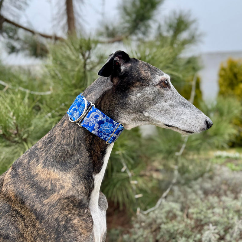 Extra Soft Martingale Dog Collar for Greyhound Saluki Whippet and Other Breeds with Similar Neck 2" Wide (L 14"-18") L 14"-18" - PawsPlanet Australia