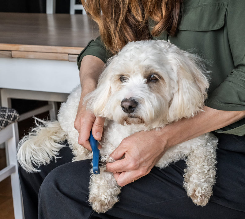 Mikki Doodles Dog Grooming De-Matting Tool, Heat Treated Micro Serrated Blades, Left & Right Hand Use, for Poodle Crossbreeds, One Size De-Matter - PawsPlanet Australia