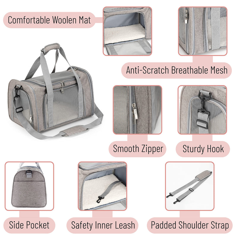 Mr. Pen- Cat Nail Clipper and Pet Carrier - PawsPlanet Australia