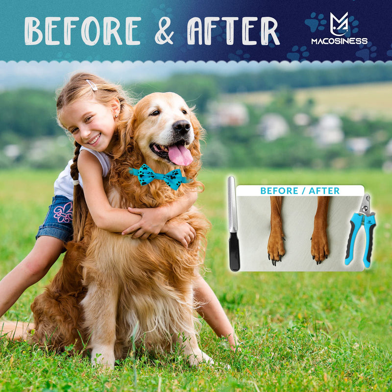 Dog Grooming Hammock - Dog Grooming Hammock Harness for Cats Dogs - Pet Grooming Hammock - Dog Nail Clipper - Dog Hammock - Dog Nail Trimmers - Dog Sling - Dog Sedation for Nail Trimming - Dog Nail S BASIC SET - Aqua with black paws - PawsPlanet Australia