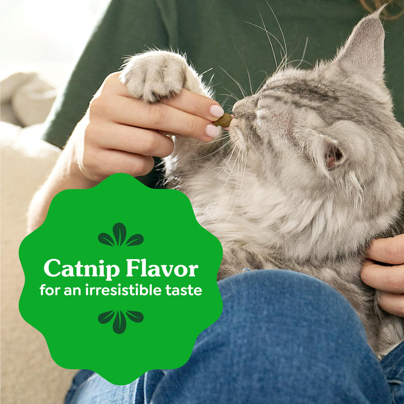 Greenies Cat Treats, Feline Veterinarian-Recommended Adult Natural Dental Treats, Catnip Flavor, 21 oz. Tub 1.31 Pound (Pack of 1) - PawsPlanet Australia