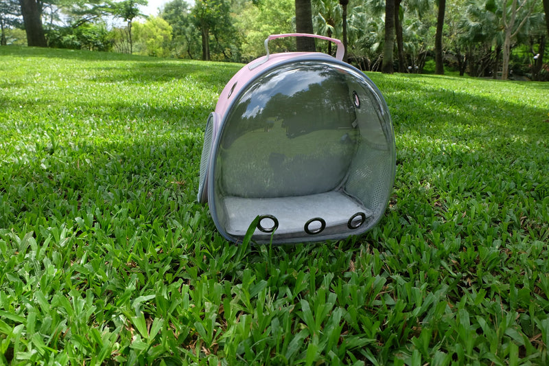 Small Animal Carrier Guinea Pig Backpack,Transparent, Breathable Backpack Carrier for Hedgehogs, Rabbits, Birds, Squirrels, Hamsters, Lizards Comfortable, Portable Travel Bag for Small Pets (Pink) Pink