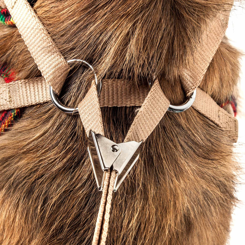 Pet Life ® Luxe Collection Dapperbone 2-in-1 Adjustable Fashion Dog Harness and Leash with Dog Bowtie by Collar - Pet Harness with Reversible Breathable Mesh and Alloy Dog Leash attachments X-small Brown - PawsPlanet Australia