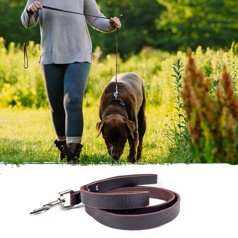 Mighty Paw Leather Dog Leash | 5 ft Leash Super Soft Distressed Real Genuine Leather- Premium Quality, Modern Stylish Lead. Perfect for Small, Medium and Large Pets Lite 1 - 30 lbs Brown - PawsPlanet Australia
