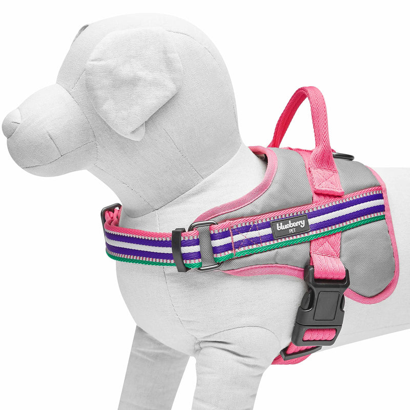 Blueberry Pet Pink Dog Harness - Award Winning Medium Sized No Pull Dog Harness with Handle, Reflective Vest for Safety-Conscious Urban & Outdoor Enthusiasts, 3M Night Visibility Emerald,Orchid and Pink - PawsPlanet Australia