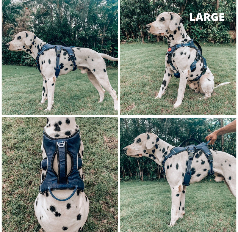 Tuff Pupper Updated for 2024 - Tracker No Escape Dog Harness | Dual Escape Proof Leash Attachments | 5 Point Adjustable Fit Harness for Dogs | Padded Dog Harness for Comfort | Handle Dog Lift Harness Large (Neck: 20-25" , Chest: 25-33") Midnight Blue - PawsPlanet Australia