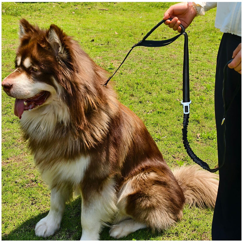 5FT Double Handle Tactical Dog Leash with Shock Absorption, Reflective Heavy Duty Bungee Dog Leash for Medium Large Dogs That Pull, Daily Walking Training, Black 5FT - PawsPlanet Australia