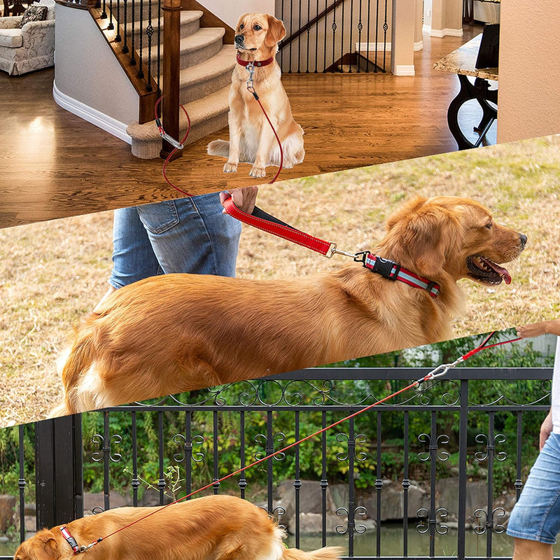 Leashboss 2 Pack Dog Tie Out Cables for Large Dogs - 5 Ft Heavy Duty Tether for Outside Dog Runner - Durable, Chew-Proof, Dog Lead for Yard, Camping, and Training 5 Foot - 2 Pack Classic Red - PawsPlanet Australia