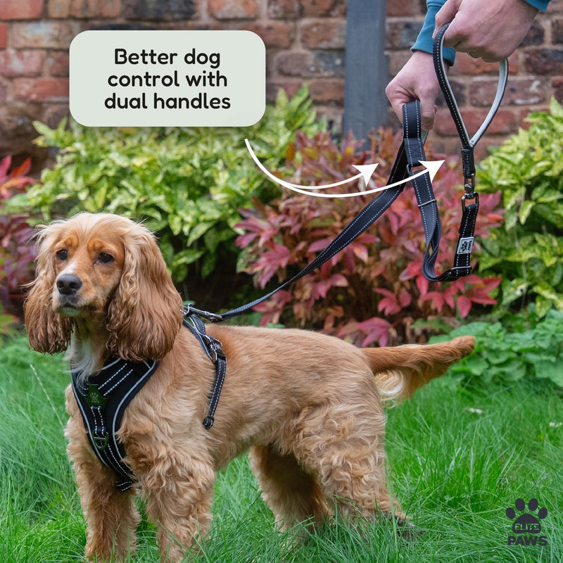 Elite Paws® UK: Double Handle Dog Lead - Strong Pull Training Leash with Padded Handles. Adjustable, Metal Accessories, Anti-Twist, Reflective, For Small, Medium & Large Pets Up To 30kg (Black) Black - PawsPlanet Australia