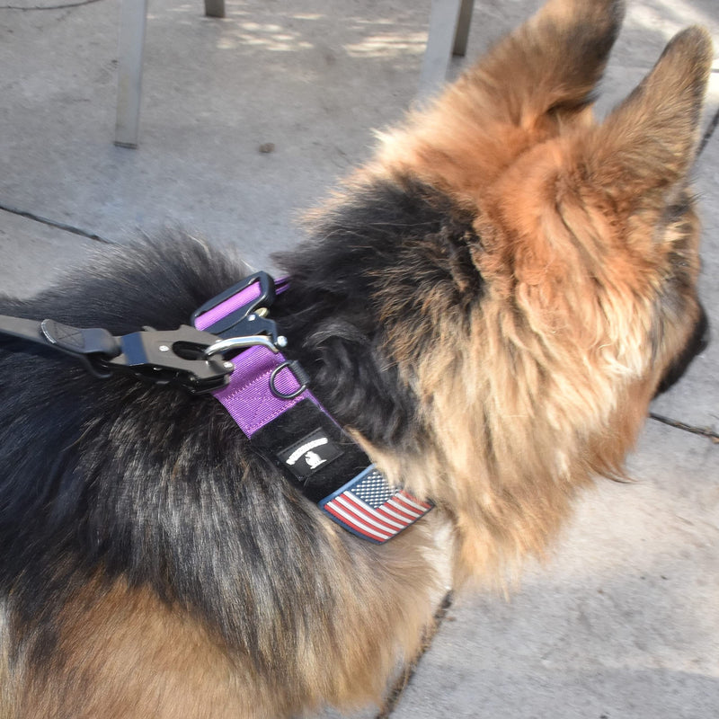 Heavy Duty Waterproof Dog Leash - Large Scissor Frog Quick Release Clasp, PVC Rubber Coated Nylon Training Lead for Large and X-Large Dogs, Odor Free, Durable, Easy to Clean, Nonslip Grip, Secure Hold 3FTSM BLACK PVC - PawsPlanet Australia