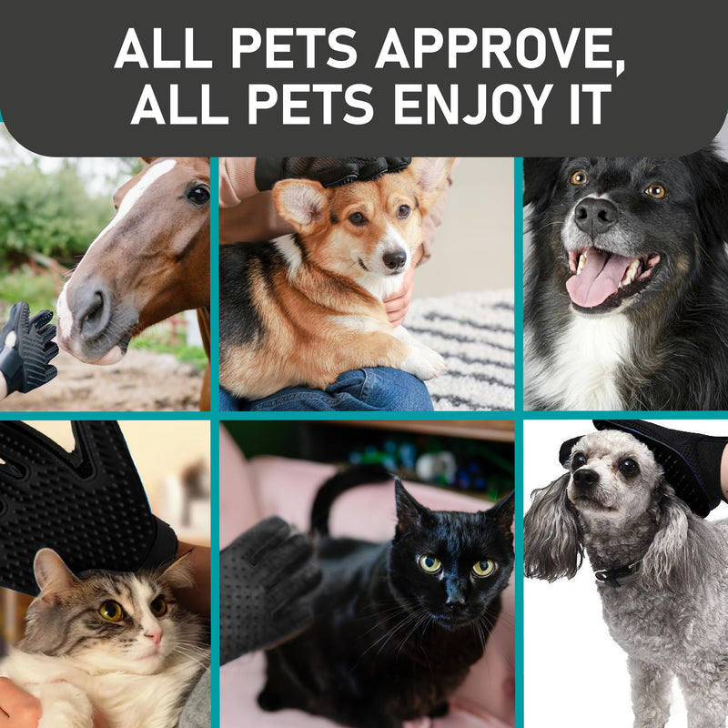 Maxpower Planet Pet Grooming Gloves for Dogs and Cats - Grooming Mitt for Dogs -Cat Gloves - Hair Removal Bruh - All Hair Types Black