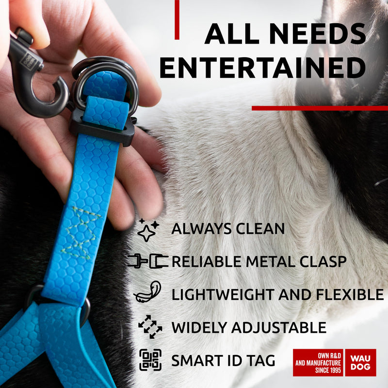 WAUDOG Waterproof Dog Harness and Leash 6 Ft Set - Adjustable, Heavy Duty with Durable Metal Clasp and QR Dog Tag Set: M (20-21") + Leash 6 Ft Blue - PawsPlanet Australia