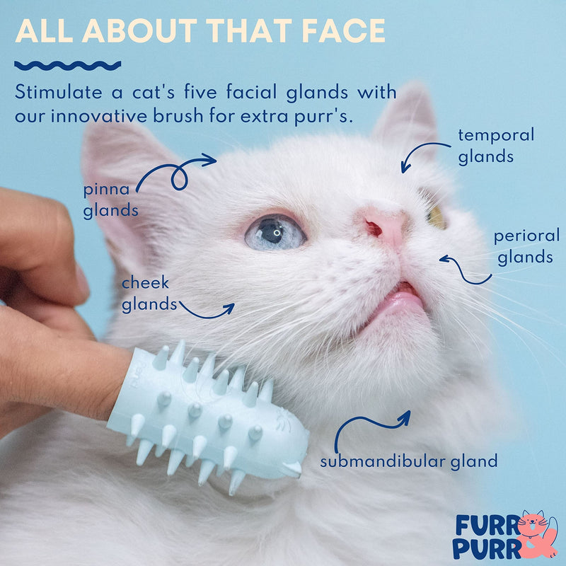 Furr&Purr Cat Brush, Made in the USA, Face Massager, Face Scratcher, Calming Care Comb for Cats, Indoor Cats (1-Pack) 1 Pack - New