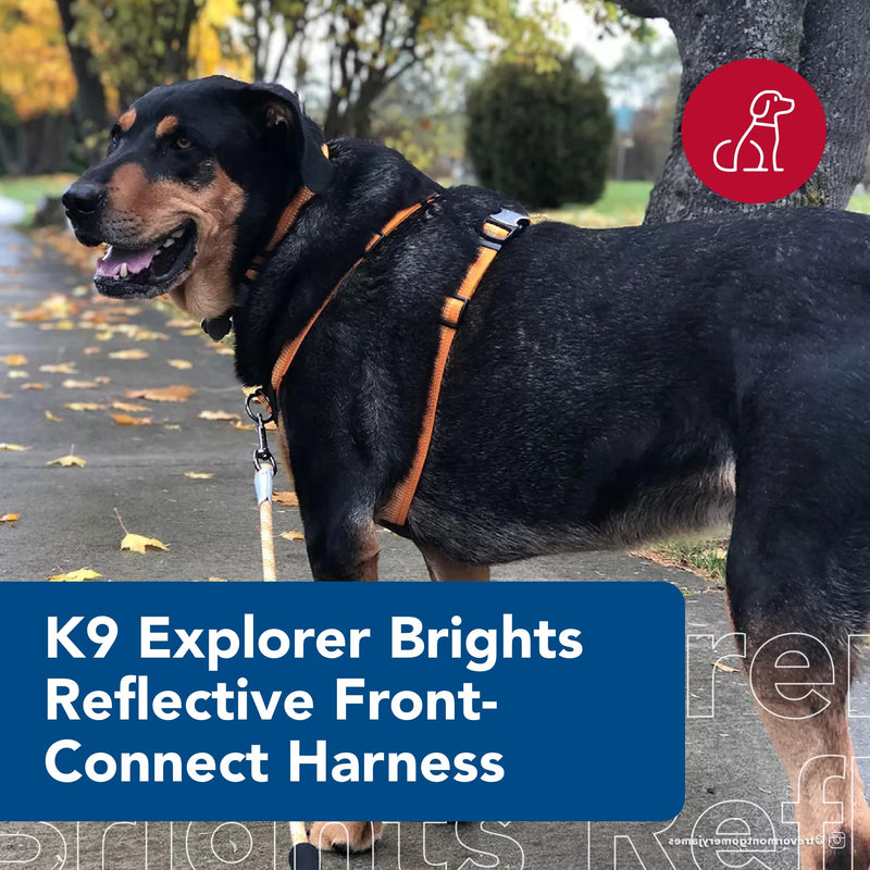 Coastal - K-9 Explorer - Brights Reflective Front-Connect Harness, Canyon, 1" x 20"-30" 1" x 20"-30" (Pack of 1) - PawsPlanet Australia