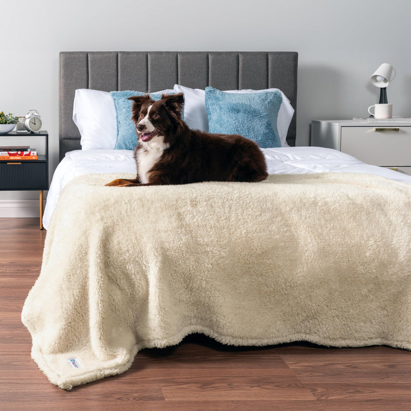 PetAmi Fluffy Waterproof Dog Blanket for Medium Large Dogs, Soft Warm Pet Sherpa Throw Pee Proof Couch Cover, Reversible Cat Bed Blanket Sofa Protector, Plush Washable Pad (Beige Cream, 40x60) Large (40x60) Beige - PawsPlanet Australia