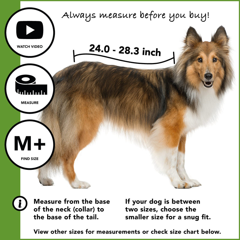 Suitical Recovery Suit for Dogs - Dog Surgery Recovery Suit with Clip-Up System - Breathable Fabric for Spay, Neuter, Skin Conditions, Incontinence - M+ Dog Suit, Black M+(24-28.3 in) - PawsPlanet Australia