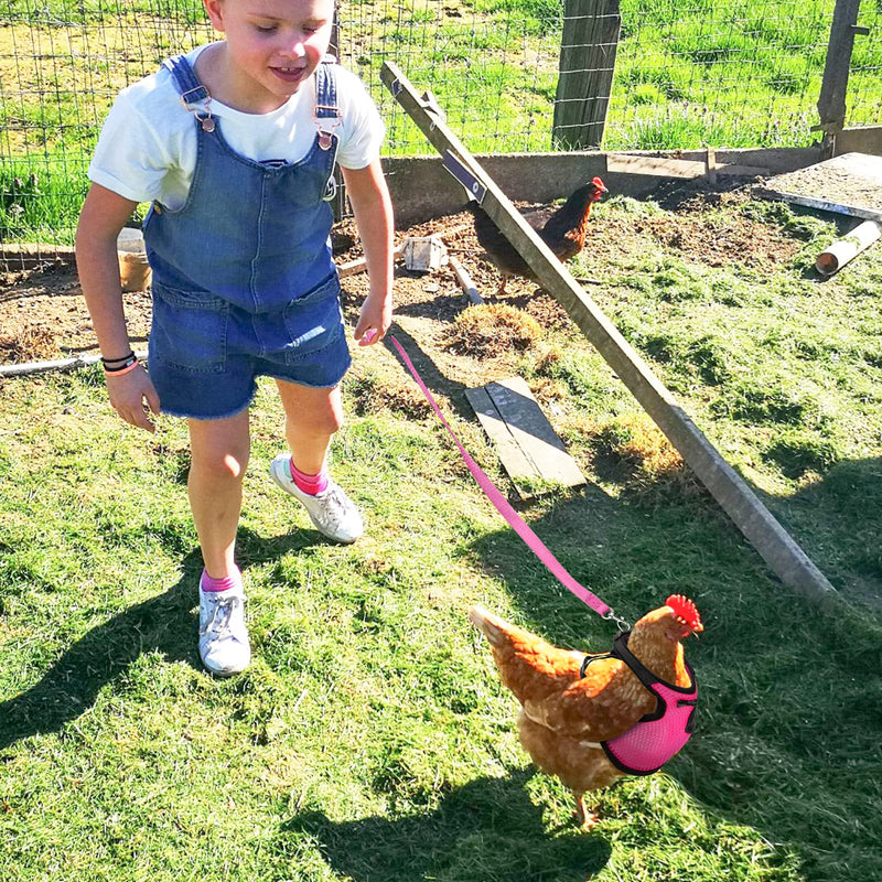 Adhafera Chicken Harness with Leash, Upgraded Double Adjustment Chicken Harness and Leash Set for Hens, Duck, Goose, Small Pet (Pink, S) Pink - PawsPlanet Australia