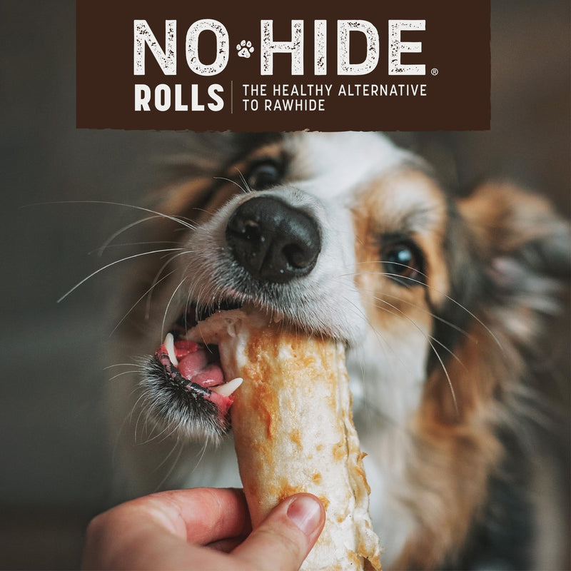 Earth Animal No Hide Rawhide Free Dog Chews Long Lasting Natural Salmon Flavoured Dog Treats for Small Dogs Easily Digestible Bones for Aggressive Chewers - Salmon, Small, 2 Pack (68g) - PawsPlanet Australia