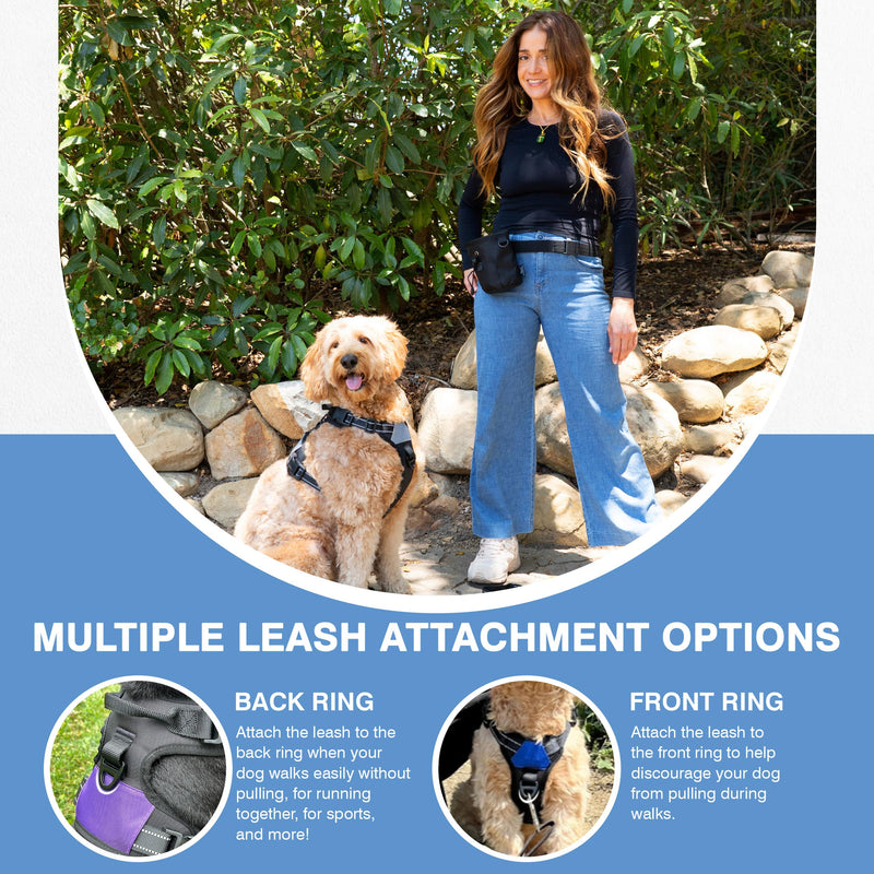 The North Star Dog Harness™ - Comfortable, Fully Adjustable, Designed to Reduce Pulling, Escape Resistant, Durable, fastens Easily and securely with Airtag Holder (Black/Grey, S) Black/Grey - PawsPlanet Australia