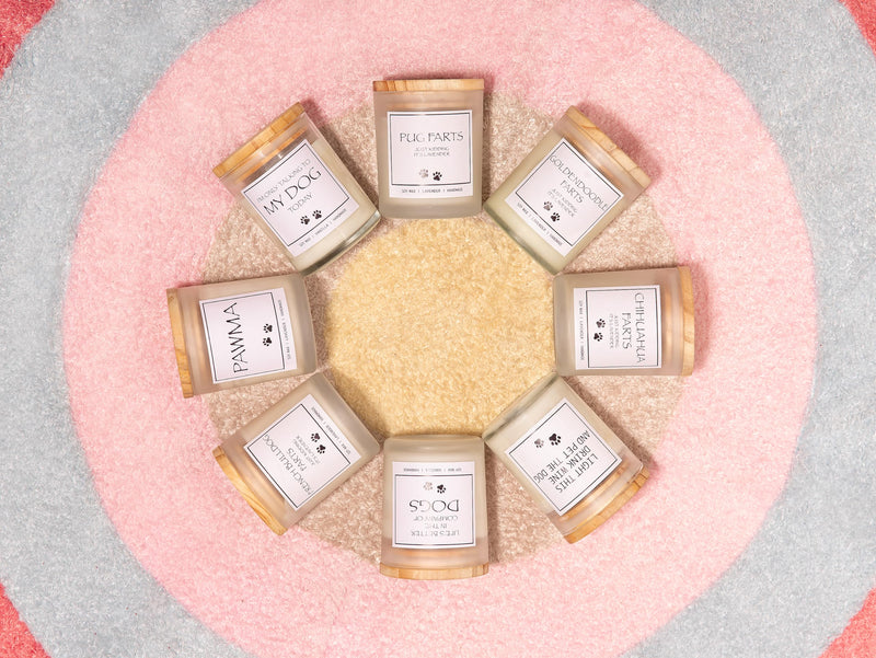 Dog Memorial Gifts for Loss of Dog, Rainbow Bridge Dog Memorial Gifts, Pet Loss Sympathy Gift, Cat Memorial Gifts - Vanilla Scented Candle A Best Friend Is Never Forgotten - PawsPlanet Australia
