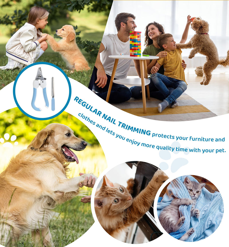 Pet Nail Clippers and Trimmers for Dogs and Cats, Professional Grooming Tool with Safety Guard, Sharp Blades, Free Nail File, Avoid Overcutting, Suitable for Small and Large Pets (Blue) Blue - PawsPlanet Australia