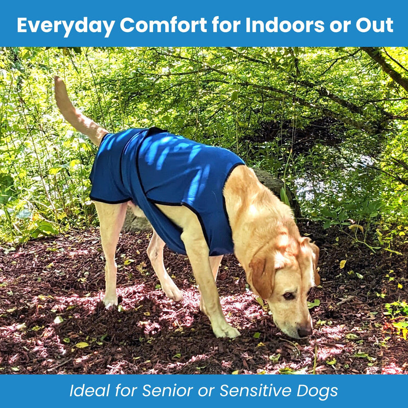 Dog Cooling Vest – Lightweight Evaporative Shirt with UV Protection for Small, Medium, and Large Dogs – Breathable Soft Fabric for Hot Weather (M, Rose Pink) - PawsPlanet Australia