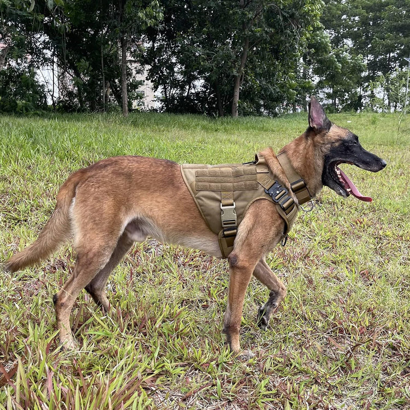 Tactical Dog Harness,X-Large Size, 2X Metal Buckle,Working Dog MOLLE Vest with Handle,No Pulling Front Leash Clip,Hook and Loop Panel - PawsPlanet Australia