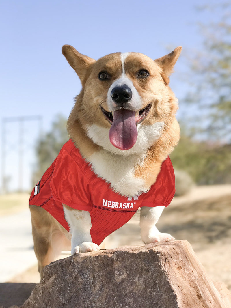 Pets First NCAA College Nebraska Huskers Mesh Jersey for Dogs & Cats, X-Small. Licensed Big Dog Jersey with Your Favorite Football/Basketball College Team (Pack of 2) X-Small (Pack of 2) Nebraska Cornhuskers - PawsPlanet Australia