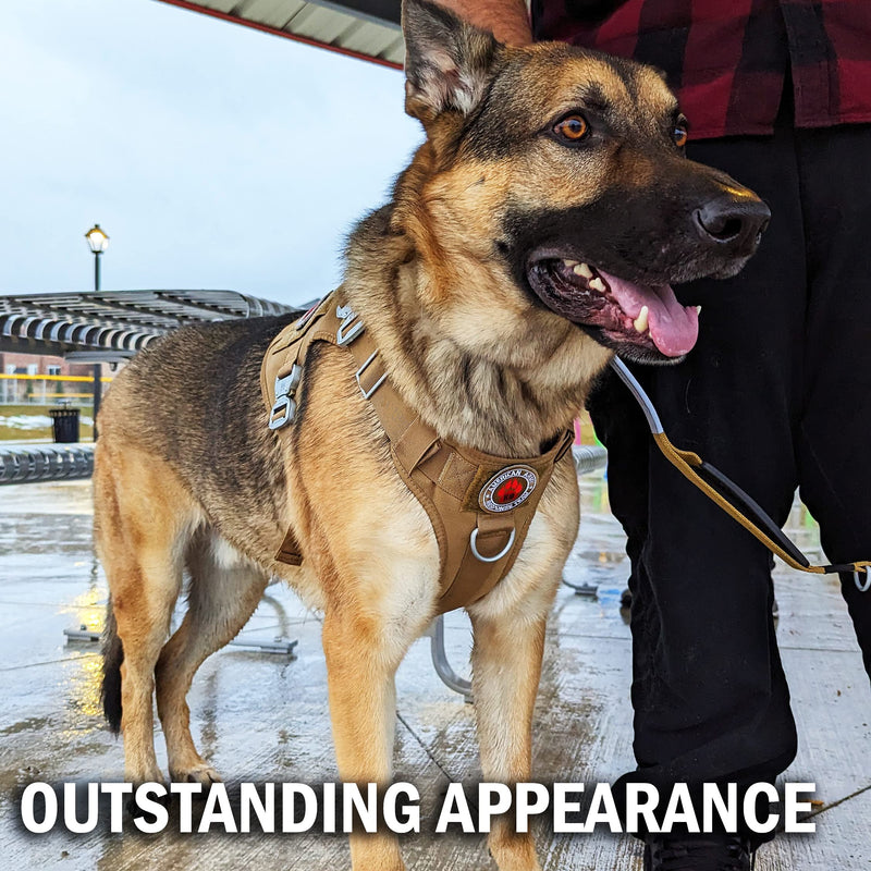 Tactical Dog Harness with 4 Metal Buckles; Waterproof, Military Grade Dog Vest; no-pulls but Does not Choke Neck; Great with Prevents Escapes, Heavy-Duty Dog Harness for Large Dogs, Blue (L) Large (L) - PawsPlanet Australia