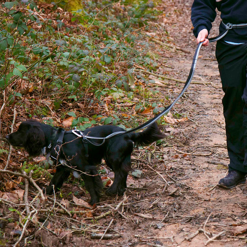 Mountain Paws Running Dog Lead | Hand-held Or Waist Mounted With Soft Grip Neoprene Handle, 1.4 Metres - PawsPlanet Australia