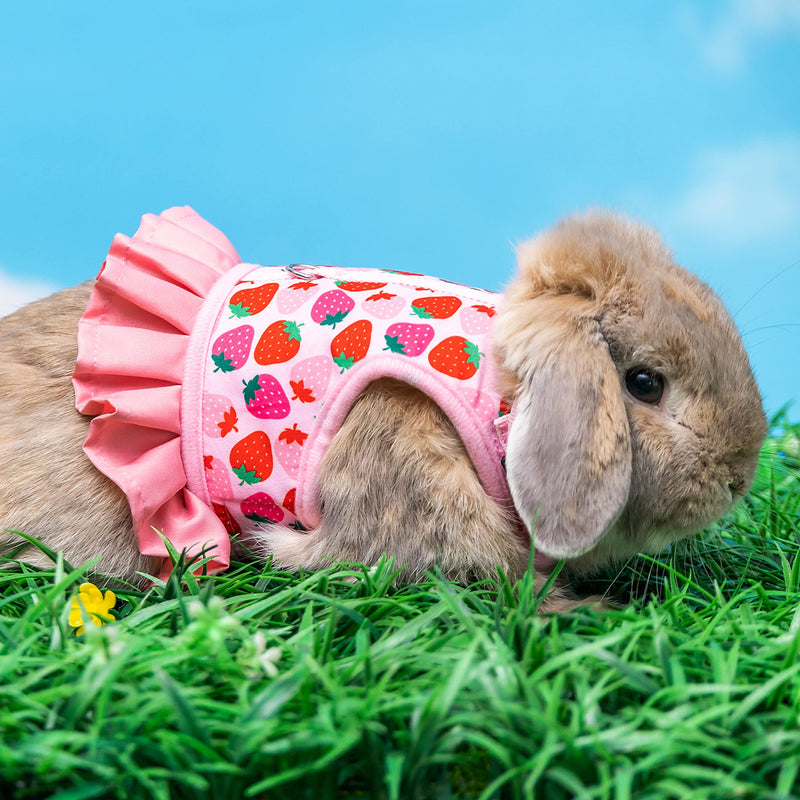 Rabbit Harness and Leash for Walking Escape Proof - Cute Carrot Pattern Mesh Breathable Bunny Vest Harness Outdoor Camping Hiking Training - also suit for Ferret Kitten Puppy Small Animals L (neck:7"-11.8" chest:9.8"-15.7") Pink - PawsPlanet Australia
