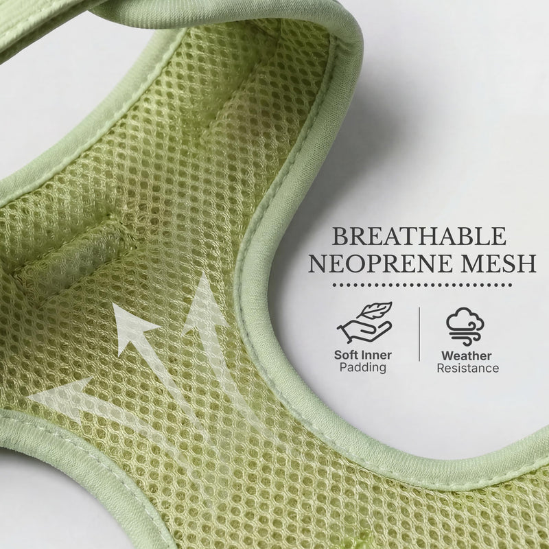 No Pull Dog Harness & Leash Set | Lightweight Breathable Neoprene, Cute Heart Pattern, Adjustable Step-In Vest,Soft Padded with Back D-Ring, XXS-L Small Dogs | Harness & Leash Set Green Harness Leash Set-Green S-Small - PawsPlanet Australia