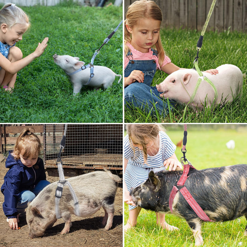 Mini Pig Harness, Adjustable Small Pig Harness with Leash Infinity Style Lead and Soft Foam Handle for Small to Medium Pet Pigs Walking Training Jogging (Pink, M) Pink - PawsPlanet Australia