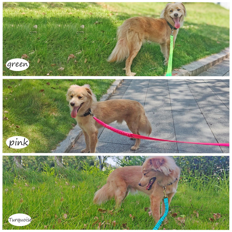 Bungee Dog Leash- 5FT Shock Absorbing & Reflective Nylon Leash | Anti-Pull Training for Small/Medium Dogs | 2cm Wide, 6 Colors (Teal) Teal - PawsPlanet Australia