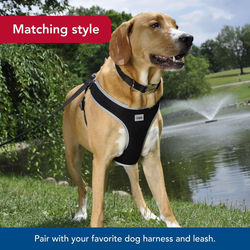Coastal Pet Adjustable Dog Collar with Metal Buckle - Comfortable Fade-Resistant Dog Collar with Snap Lock - Perfect for Walking & Tie Outs - Blue Lagoon - 5/8" x 10"-14" 5/8" x 10" - 14" (Pack of 1)