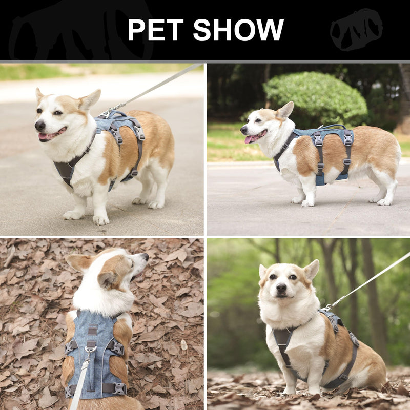 Escape Proof Dog Harness with Handle - Reflective No Pull Dog Vest, Lightweight Full Body Pet Harness Adjustable for Small Dogs Walking,Training(Blue,Chest:14-22") XS: Chest 14-22", Fit 8-12 lbs Blue