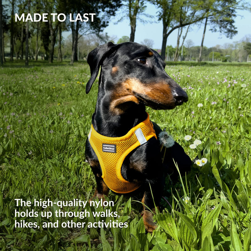 CollarDirect Step-in Reflective Dog Harness - Any Weather Air Mesh for Small and Medium Dogs Easy to Put On and Off (Size M, Yellow) - PawsPlanet Australia