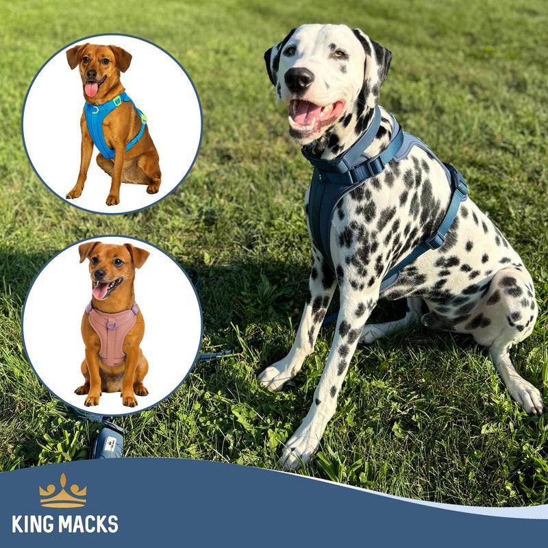 King Macks Dog Harness Set with Collar and Leash, Waste Bag Holder and Dirty Waste Bag Clip, Adjustable for Small/Medium/Large Dogs, Lightweight (Blue with Green, Large) Blue with Green - PawsPlanet Australia
